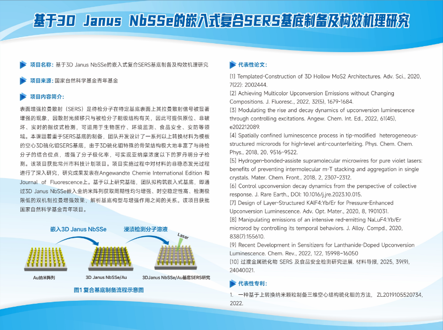 基于3D Janus NbSSe的嵌入式复合SERS基底制备及构效机理研究.png