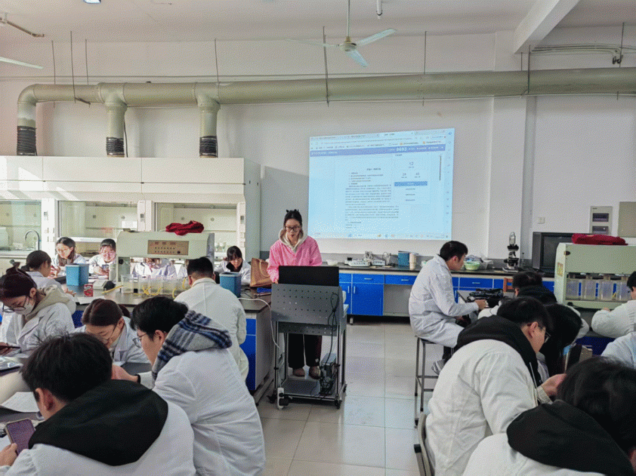 图片_001_08